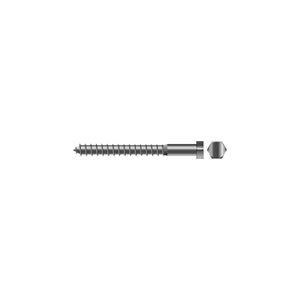 1/4 x 2in 18-8 Stainless Steel Lag Screw, 25/PK