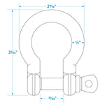 Stainless Steel Anchor Shackle, 1/2in