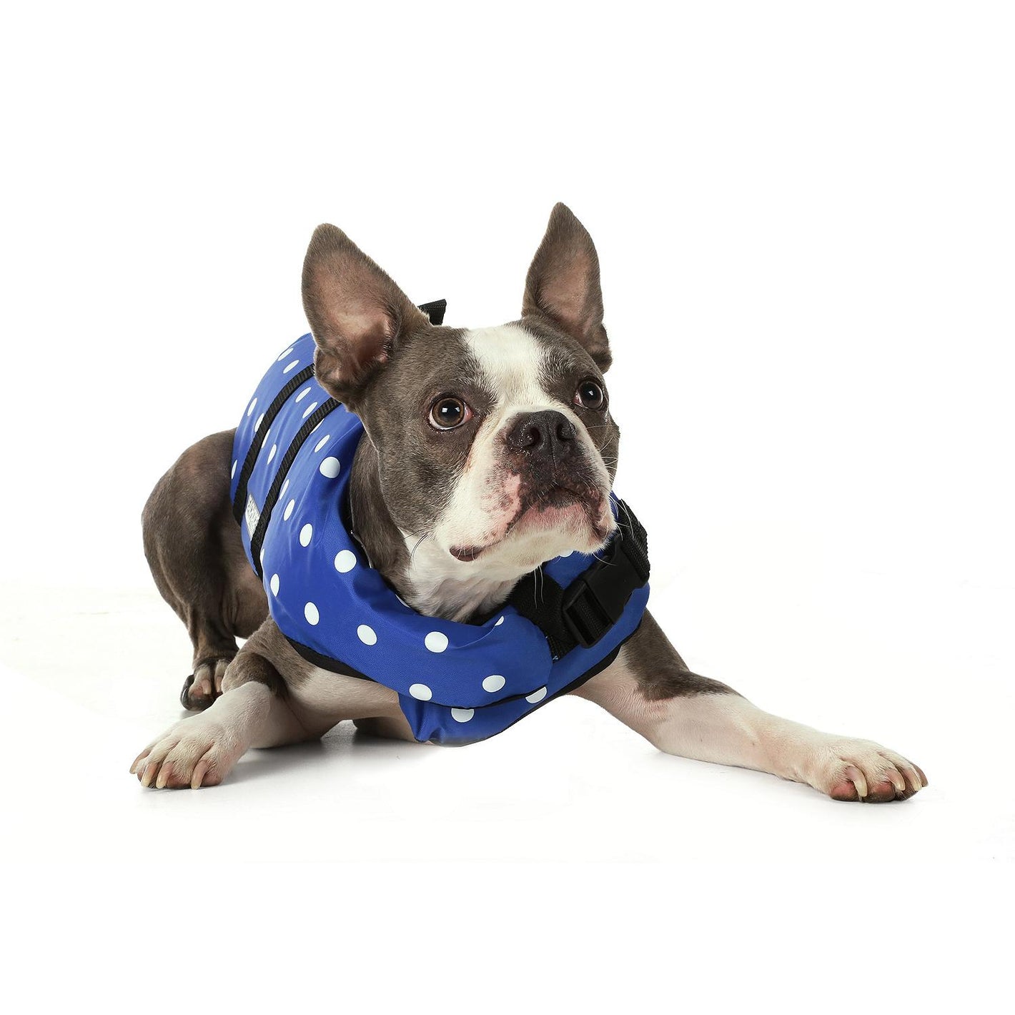 Seachoice 86260 Dog Life Vest - Blue Polka Dot, XXS