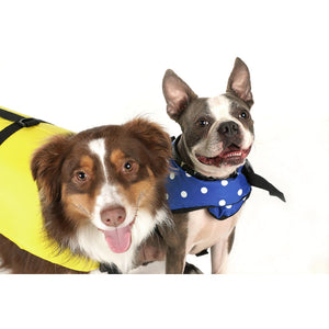 Seachoice Dog Life Vest - Yellow, Lg